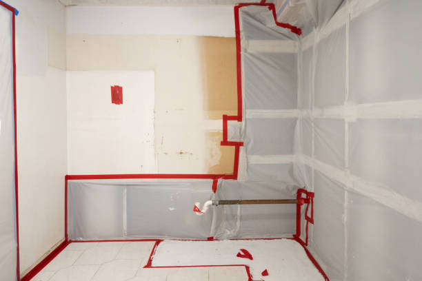Best Crawl Space Mold Remediation  in Indian Springs Village, AL